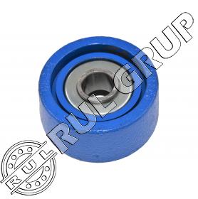 RULMENT LSGR 205 FS BBC-R