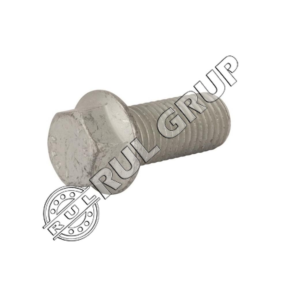 SURUB 00360195 M20X45 HORSCH 