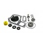KIT REPARATIE POMPA APA AR98840.AM