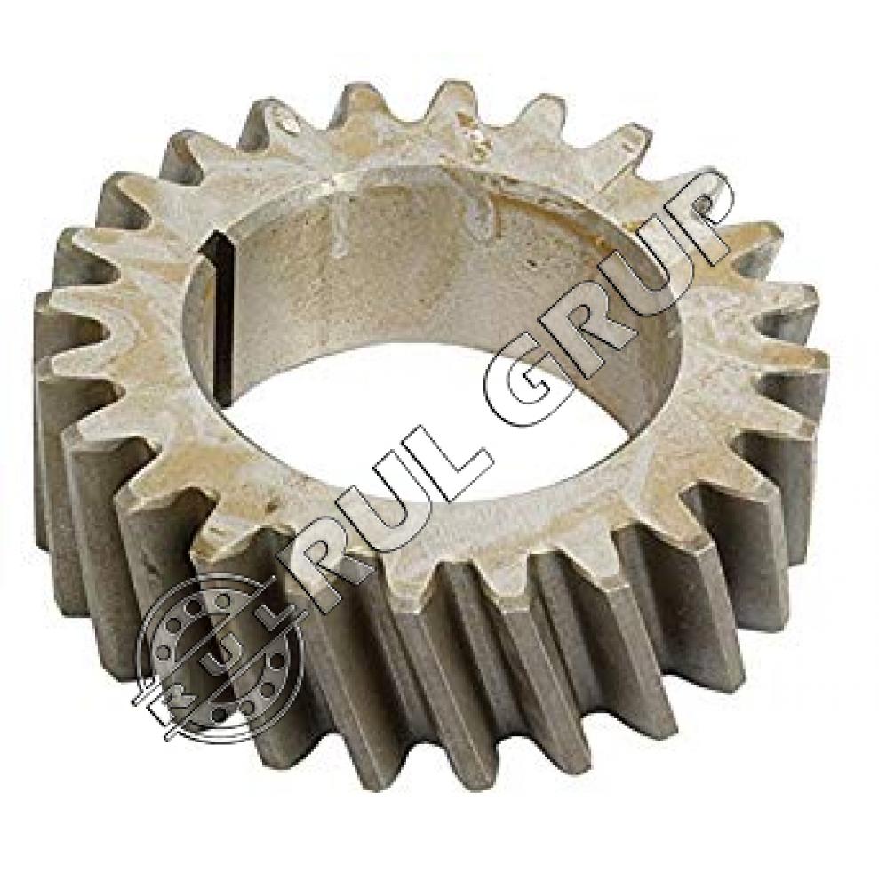 PINION ARBORE COTIT T20094.AM 